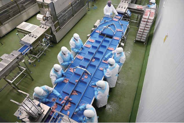 Case Study: Chấm công khuôn mặt cho hơn 1.000 nhân sự tại nhà máy Salisbury Poultry